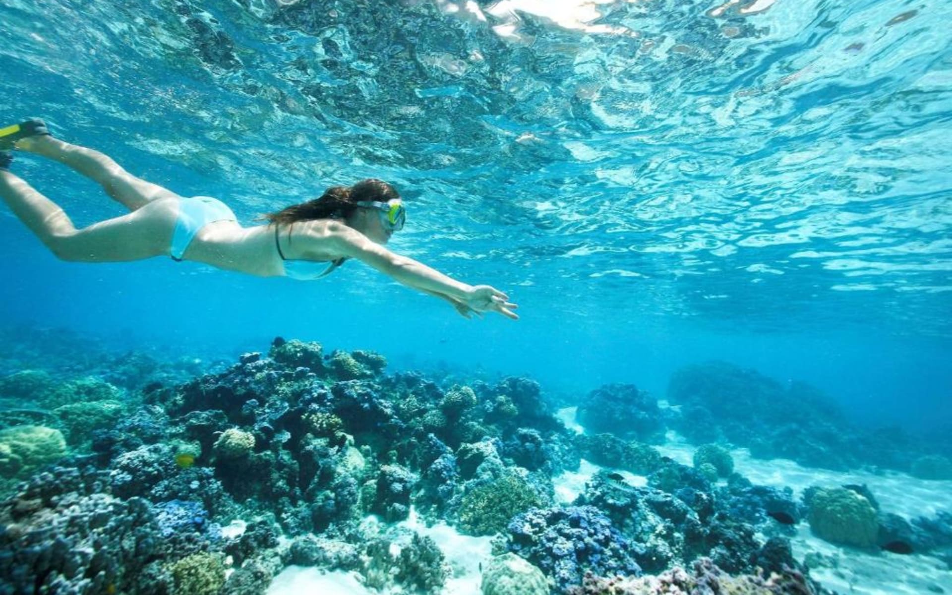 Lady snorkeling in ocean with coral